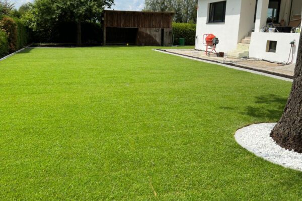 0216b41c-82d1-4f94-a1f1-c98063fc81ce