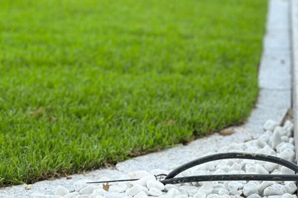 05da9726-cdd5-4e4b-b8e2-48d74497511a