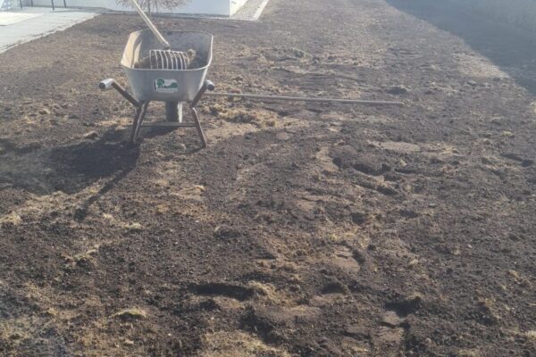 635a18c7-9bb0-44d9-910c-7c28435dab3b