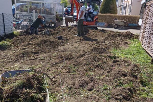 81284ae9-e1b6-4b6a-919b-8534178918dd