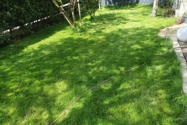 8d18a9e5-0d65-4ea2-b2f1-20028462f851