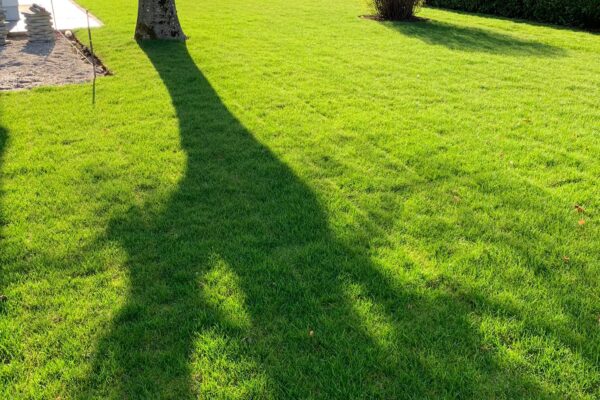 d52c3a7f-369b-451e-8873-f0717ff495d4