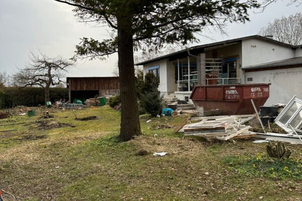 e3d2f90f-7347-4574-b8b6-c69ac3c38527