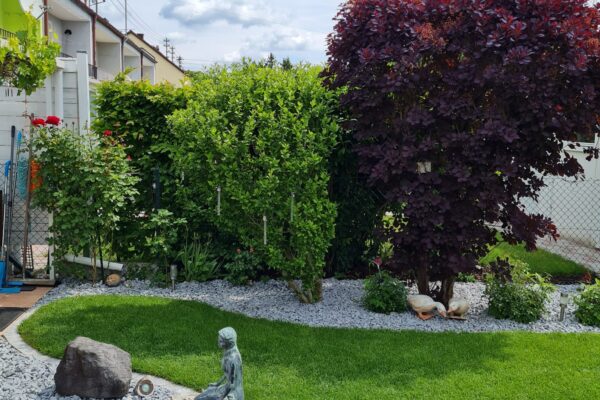 e8ecbd40-828c-47bf-a5fa-fd1f7b3056ff