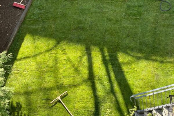 f5911fa8-f253-4013-bdcd-651e7ca4469f